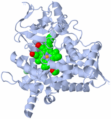 Image Biological Unit 1