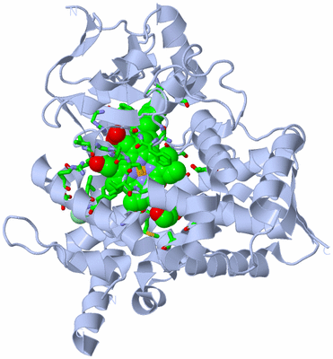 Image Biol. Unit 1 - sites