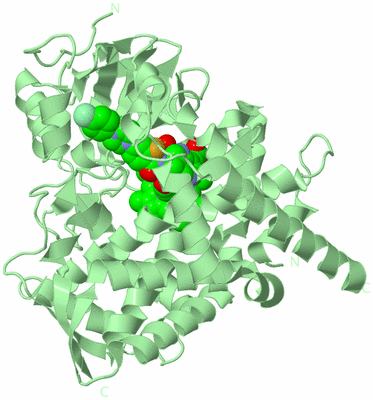 Image Biological Unit 2