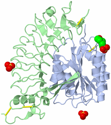 Image Biological Unit 1