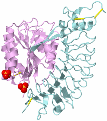 Image Biological Unit 3