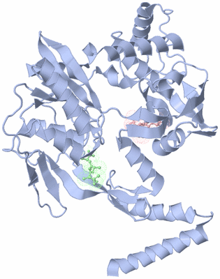 Image Asymmetric Unit