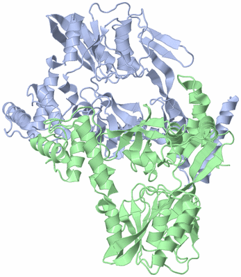 Image Asym./Biol. Unit