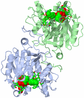 Image Asym./Biol. Unit - sites