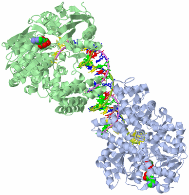 Image Biological Unit 1