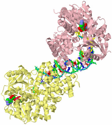 Image Biological Unit 2