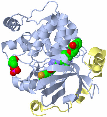 Image Biological Unit 1