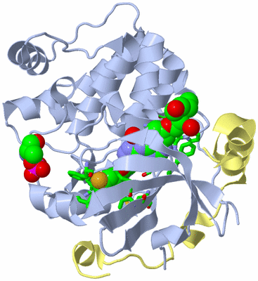 Image Biol. Unit 1 - sites