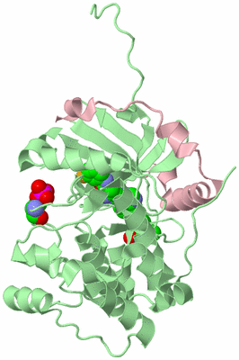 Image Biological Unit 2