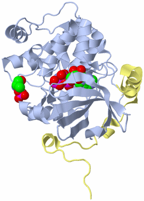 Image Biological Unit 1