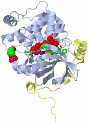 Image Biol. Unit 1 - sites