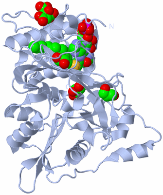 Image Biological Unit 1