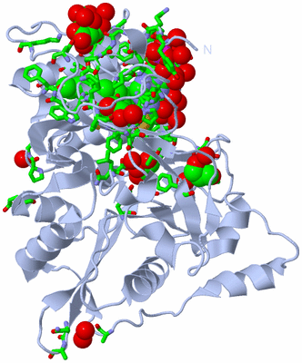 Image Biol. Unit 1 - sites