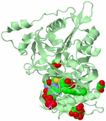 Image Biological Unit 2