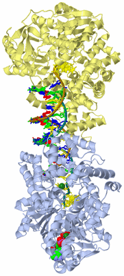 Image Biological Unit 1