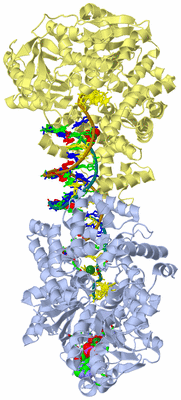 Image Biol. Unit 1 - sites