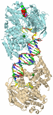 Image Biological Unit 2