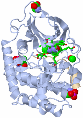 Image Asym./Biol. Unit - sites