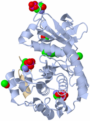 Image Asym./Biol. Unit