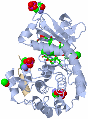 Image Asym./Biol. Unit - sites