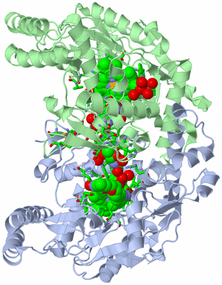 Image Asym./Biol. Unit - sites