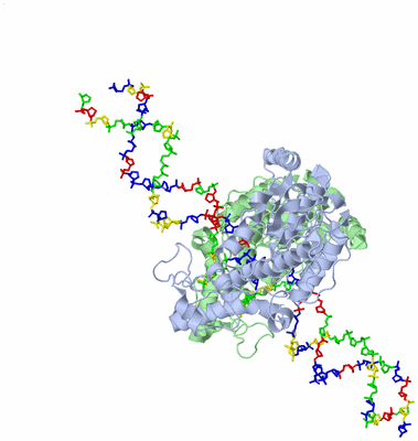 Image Asym./Biol. Unit