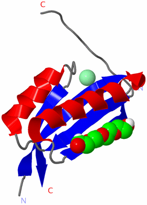 Image Asymmetric Unit