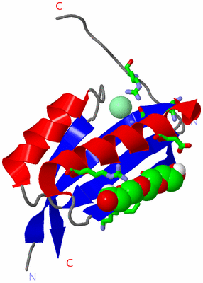 Image Asym. Unit - sites