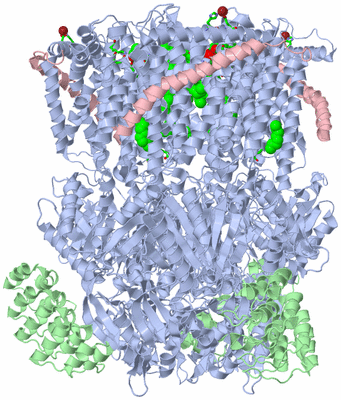 Image Biol. Unit 1 - sites