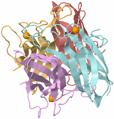 Image Biological Unit 1