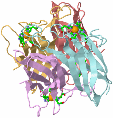 Image Biol. Unit 1 - sites