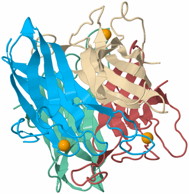 Image Biological Unit 2