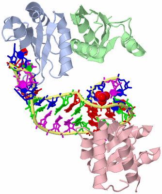 Image Biological Unit 1