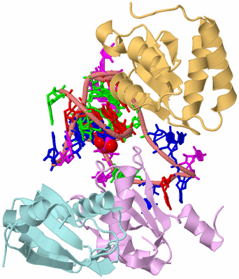 Image Biological Unit 2