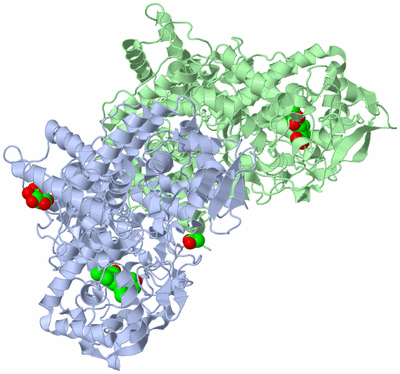 Image Asym./Biol. Unit