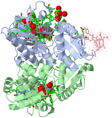 Image Asym./Biol. Unit - sites