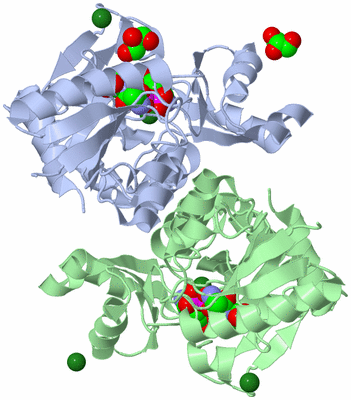 Image Asym./Biol. Unit