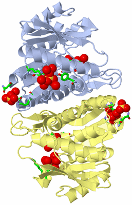 Image Biol. Unit 1 - sites