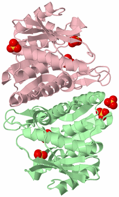 Image Biological Unit 2