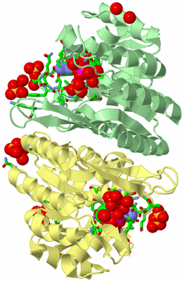 Image Biol. Unit 1 - sites