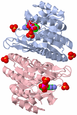 Image Biological Unit 2