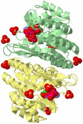 Image Biological Unit 1