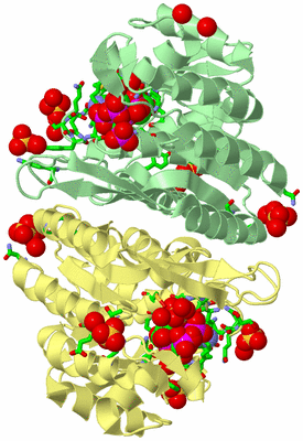 Image Biol. Unit 1 - sites