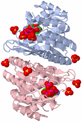 Image Biological Unit 2