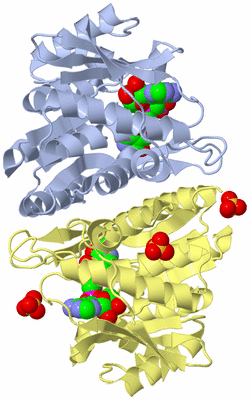 Image Biological Unit 1