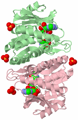 Image Biological Unit 2