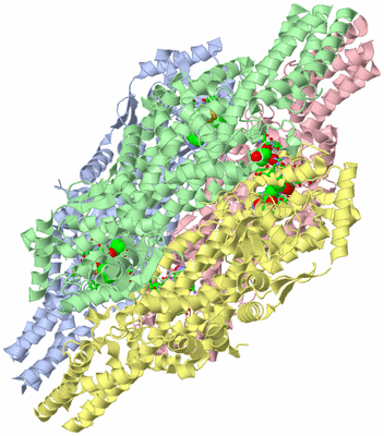 Image Asym./Biol. Unit - sites