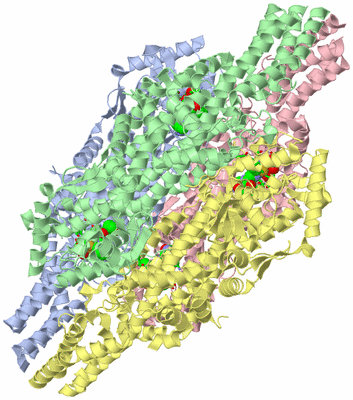 Image Asym./Biol. Unit - sites