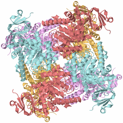 Image Biological Unit 1