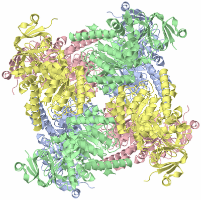 Image Biological Unit 2